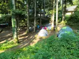 tents at the champing spot in the woods