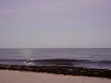 beach and sea in the moonlight